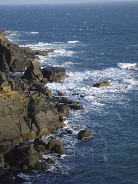 Lizard Point