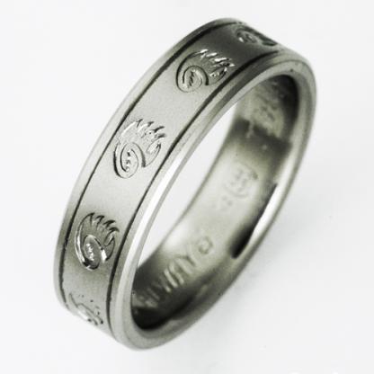 Titanium Wedding Ring by Exotica Jewelry