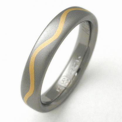 Titanium Wedding Ring by Exotica Jewelry