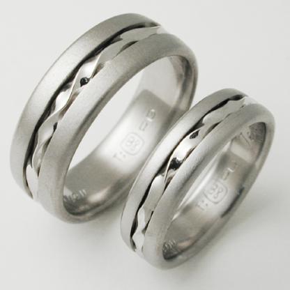 Titanium Wedding Ring by Exotica Jewelry