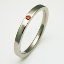 Titanium Wedding Ring by Exotica Jewelry