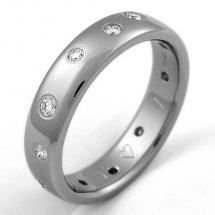 Titanium Wedding Ring by Exotica Jewelry