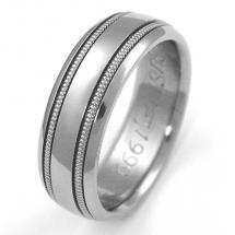 Titanium Wedding Ring by Exotica Jewelry