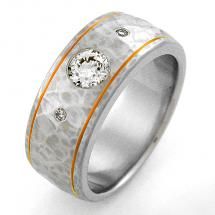 Titanium Wedding Ring by Exotica Jewelry