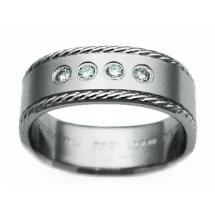 Titanium Wedding Ring by Exotica Jewelry