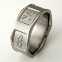 Titanium Wedding Ring by Exotica Jewelry