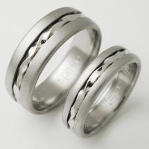 Titanium Wedding Ring by Exotica Jewelry