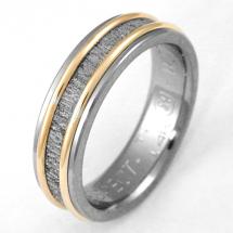 Titanium Wedding Ring by Exotica Jewelry