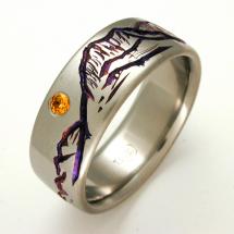 Titanium Wedding Ring by Exotica Jewelry